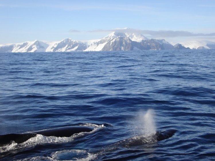 Неизведанная Антарктида: 20 интереснейших фактов