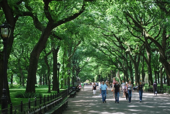 Центральный парк Нью-Йорка: все самое интересное с фото