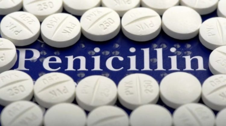 История открытия пенициллина, спасшего миллионы жизней