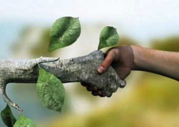 Природа всегда берет свое: фотодоказательства