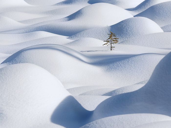На что способен снег: 30 красивых снимков