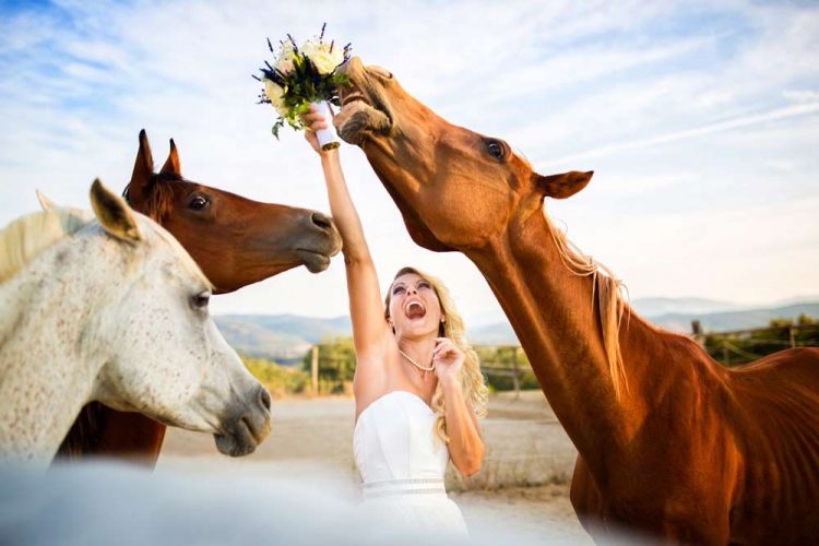 25 Funniest Wedding Photos