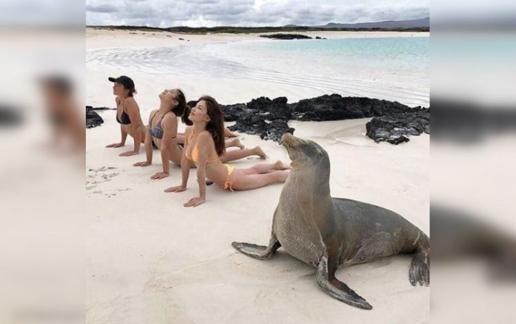 The Funniest Beach Photo-Fails