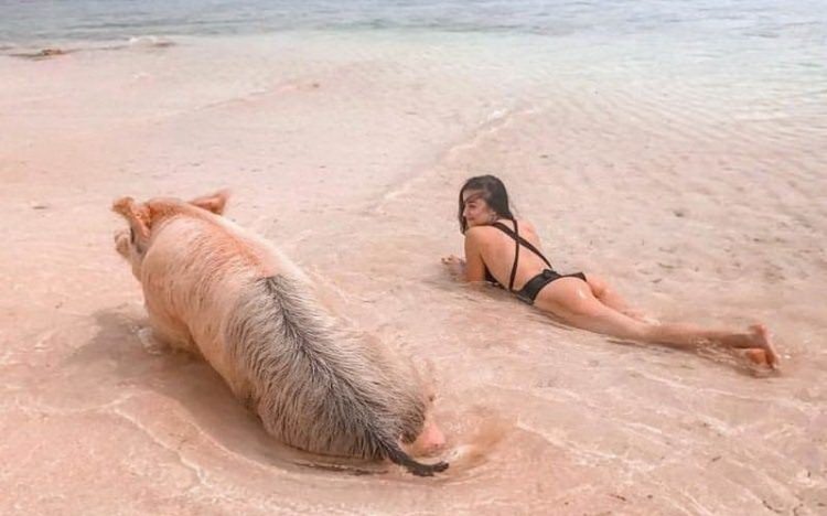 The Funniest Beach Photo-Fails