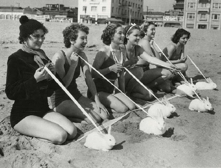 Retro Beach Vibes: A Collection of Nostalgic Beach Photos